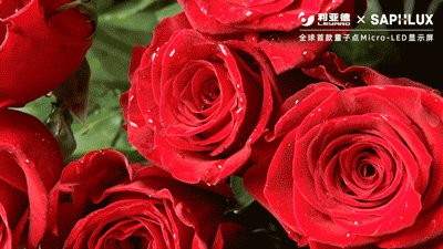 九游老哥·(中国)俱乐部官方网站